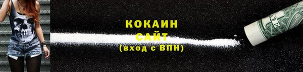 гидра Кукмор
