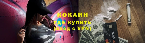 гидра Кукмор