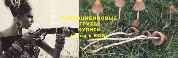 стафф Краснослободск