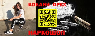 крисы Аргун