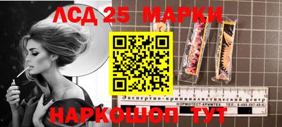 крисы Аргун